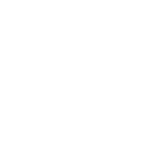 Meerschweinchen